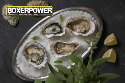 oesters