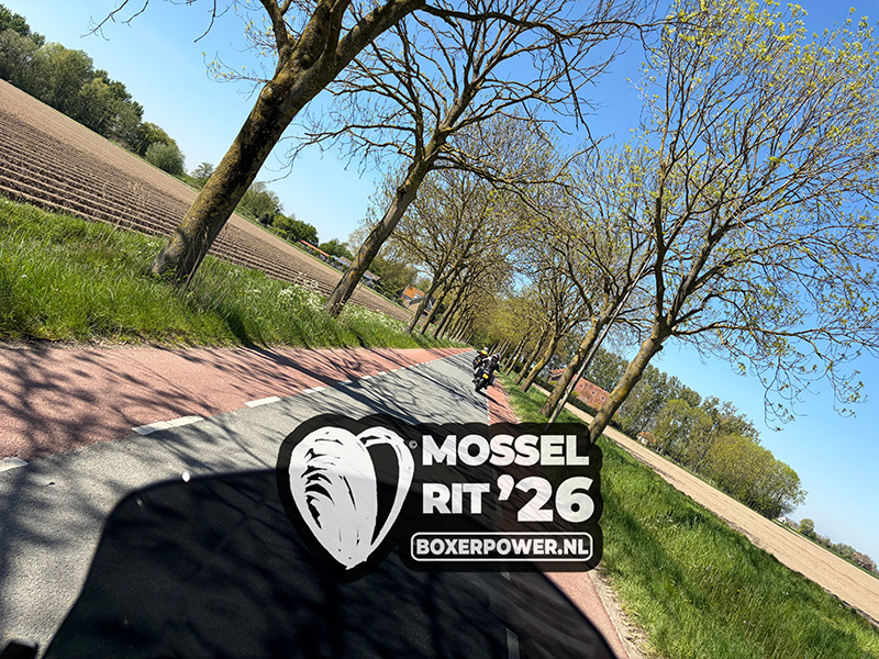 Mosselrit 2026 ochtendrit 04