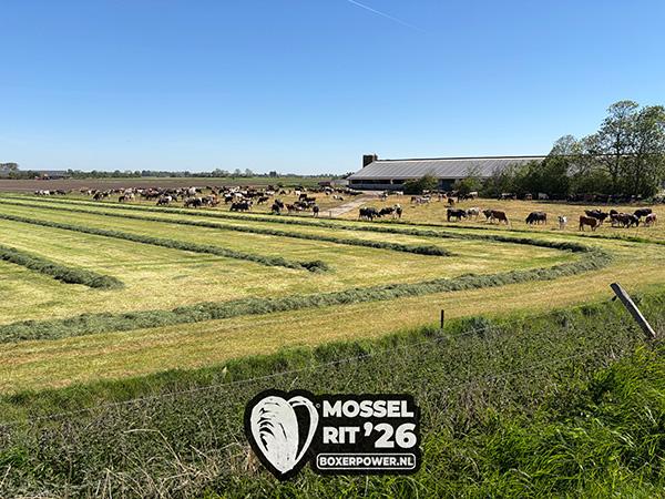 IMG 0997